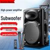 Newsmy B12 15-inch Portable Bluetooth Trolley Speaker with Dual Mics CN Plug (adapter Included)