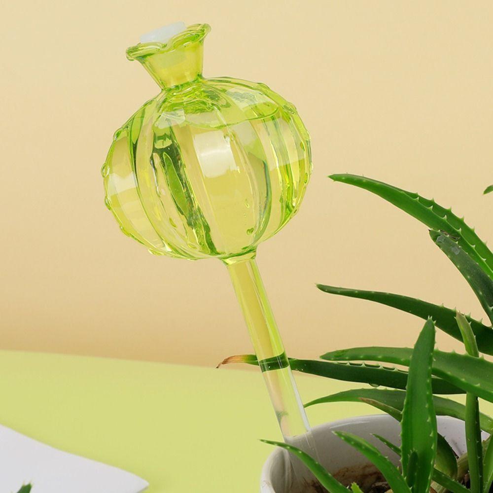 Cactus Cactus Self Watering Planter Automatic Glass Automatic Plant Watering Bulbs Cute Plant Water Feeder Glass Bulbs