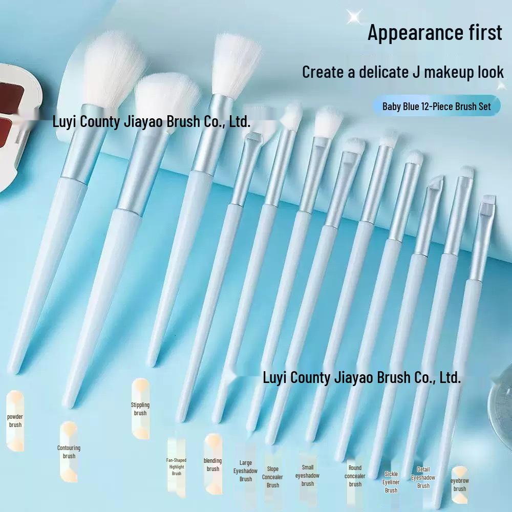 12-Piece Beginner Makeup Brush Set: Eyeshadow, Eyebrow, Under-eye & Blending Brushes