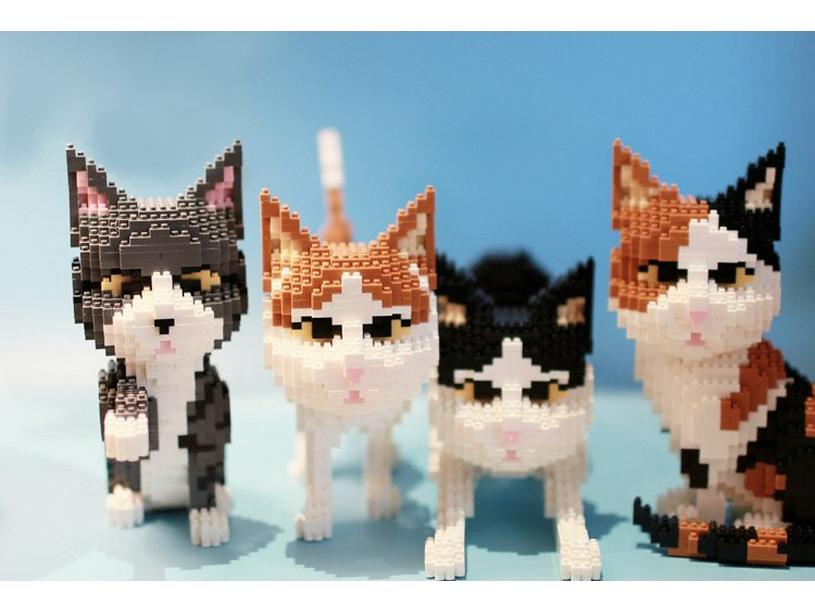 Balody 16036 Small Pet Cat Building Blocks - Children's Educational Toy