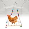 Bird Natural Wooden Chicken Swing Ladder Stand Toys Colourful Beads Chewing Biting Playing