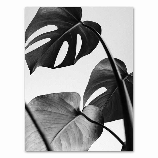 Tuval Boyama Ev Dekor İskandinav Siyah Beyaz Kalp Palmiye Yaprağı Tüy Resimleri Baskılar Duvar sanat posterleri Oturma Odası Için Modüler Hiçbir Çerçeve