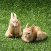 Mini Desktop Furnishings Lifelike Animal Rabbit Model Easter Rabbits Plush Toys Simulation