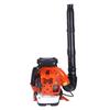 Lieve Backpack 2-Stroke Gasoline Leaf Snow Blower