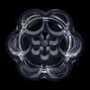 1PC New Acrylic Clear Lipstick Brush Makeup Display Organizer Flower Shaped Cosmetic Holder Organizer