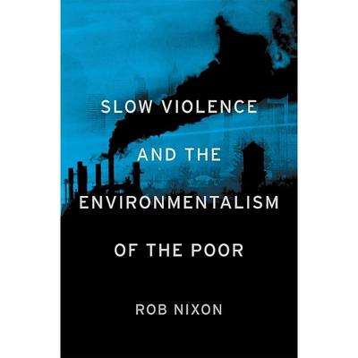 Slow Violence and the Environmentalism of the Poor