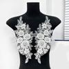 Flower Embroidered Lace Applique Beads Rhinestones Applique Sew On Patches Applique for Wedding Gown Evening Dress