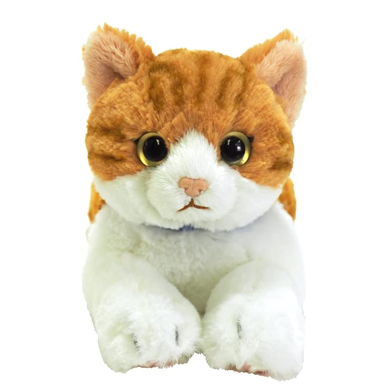 SunLemon Lap Cat Chashiro Small 13 x 36 x 15cm Plush Animal Cute Cat P-7822