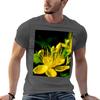St Johns Wort Tshirt Unisex Tshirt Anime T Shirts Shirts Unisex Graphic