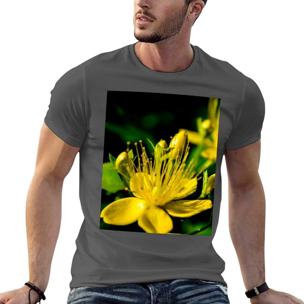 St Johns Wort Tshirt Unisex Tshirt Anime T Shirts Shirts Unisex Graphic