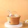 Luxurious Aromas Diffuser in Solid Wood and Glass Essential Diffuser Perfect for Creating Scented Ambiances for Home