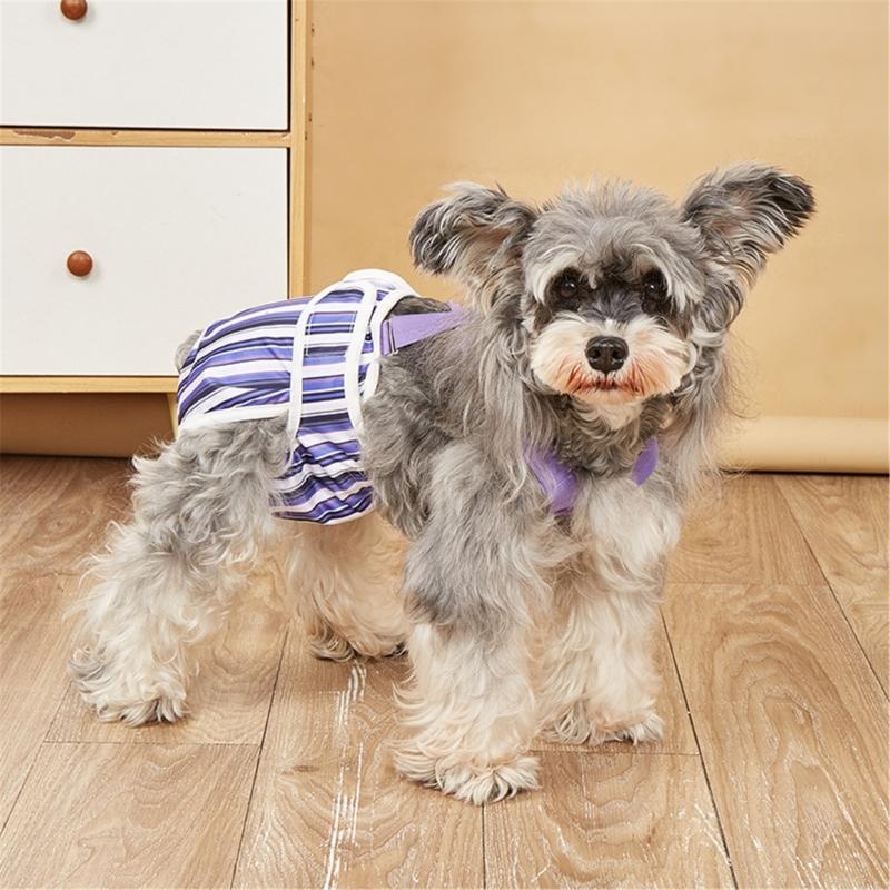 Easyly Wear Washable Dog Diaper for Female Dog Reusables Comfortable with Adjustable Straps Nonslip