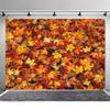 2D Vibrant Fall Maple Leaves Photography Background