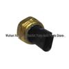 Peugeot Citroën 1.6T Oil Sensor Plug 1131K8/9802152780