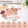 67 Peças Bloco de Cedro Armário Tábua de Cedro Aromática Estilo Sortido Odor Fresco Repelente de Insetos Guarda-roupa Bloco de Cedro Acessórios para Casa