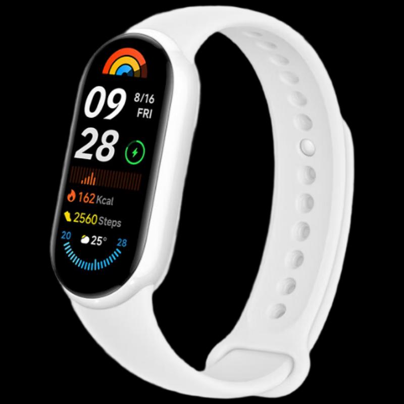 Xiaomi Smart Band 9 Ceramic Special Edition (CN version)