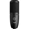 AKG (Arker Game) P120 Project Studio Line [Ideal for Vocal/instrument Recording, Durable All-meta...