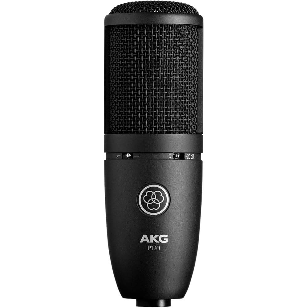 AKG (Arker Game) P120 Project Studio Line [Ideal for Vocal/instrument Recording, Durable All-meta...