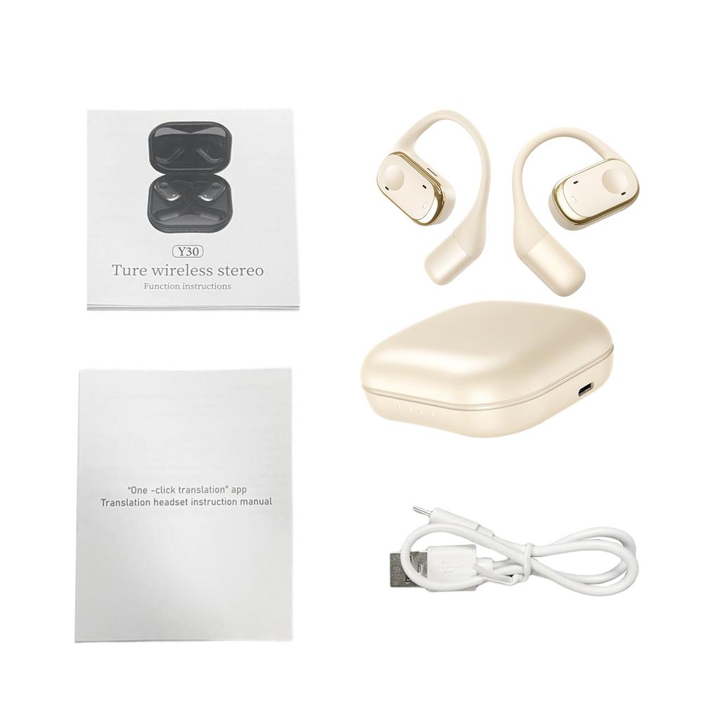 Earbuds Voice Translation Device RealTime 139 Languages Online Offline Wireless BT TwoWay