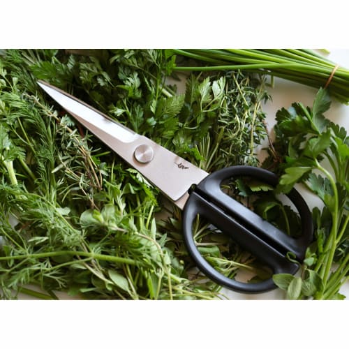 Kai Michel BRAS Kitchen Scissors, Small, Stainless Steel, Made In Japan, BK0202, Perfect for Fine Work and Finishing