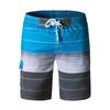 Surf Mens Board Shorts Summer Beach Shorts Pants Swiming Swimsuit Trunks