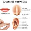 0.8mm 20G Hinged Nose Ring Hoop Septum Hoop Conch Daith Helix Lip Ring Hoops Rook Tragus Ring Cartilage Earring Pirecing Jewelry