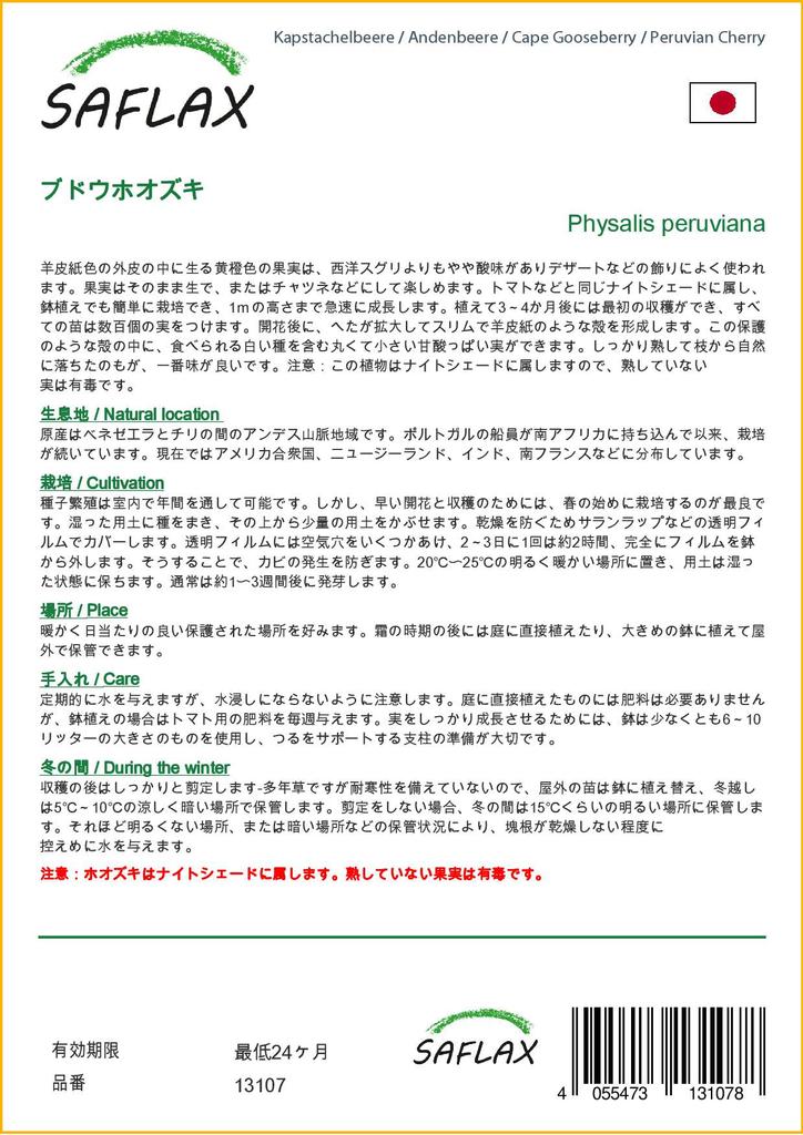 SAFLAX Cape Gooseberry / Peruvian Cherry - 100 Seeds - Physalis Peruviana