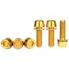 M5x18mm Titanium Bolt M5x20mm Stem Clamp Screws High Quality Disc Brake Screws