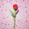 Party Home Decor Artificial Flower Stem Flower Branch Flower Pole Flower Arrangement Material