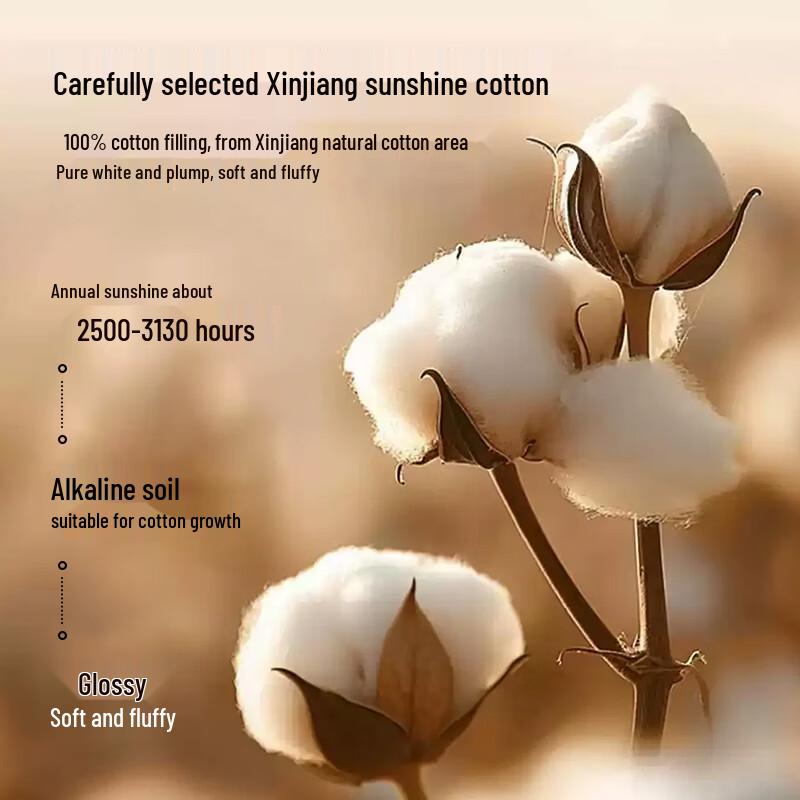 Muji Style 100% Xinjiang Cotton Summer Quilt