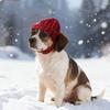 Knitted Pet Hat with Ear Holes Winter Warmer Dog Hat Elastic Ear-Exposing Headgear for Dogs & Cat for Small Medium Dogs