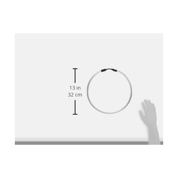 Sany Shoji Maguro! Ring 28cm