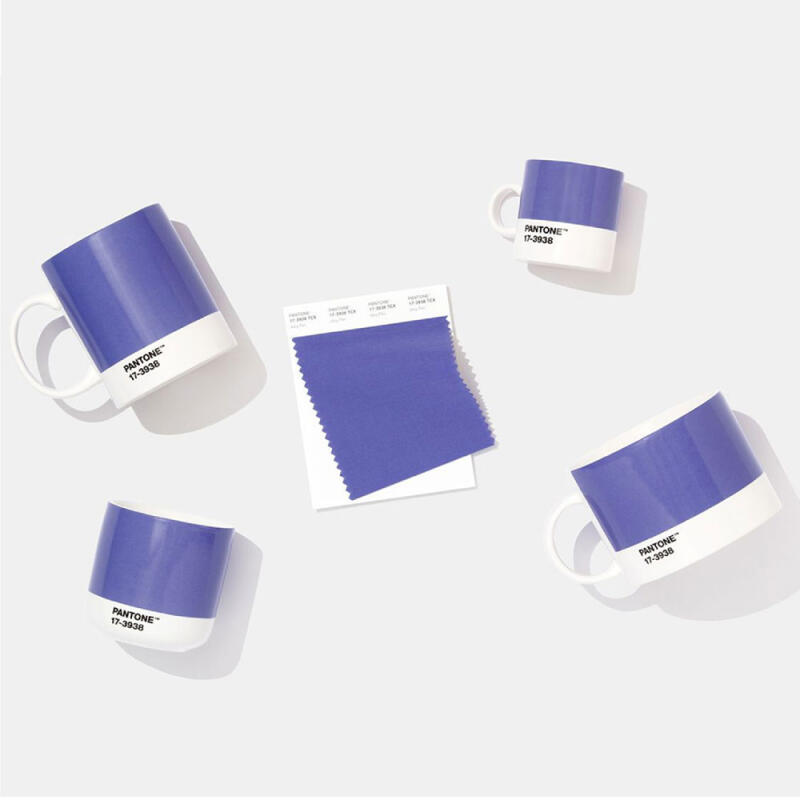 Pantone Mug (Berry Perry 17-3938 2022COY)