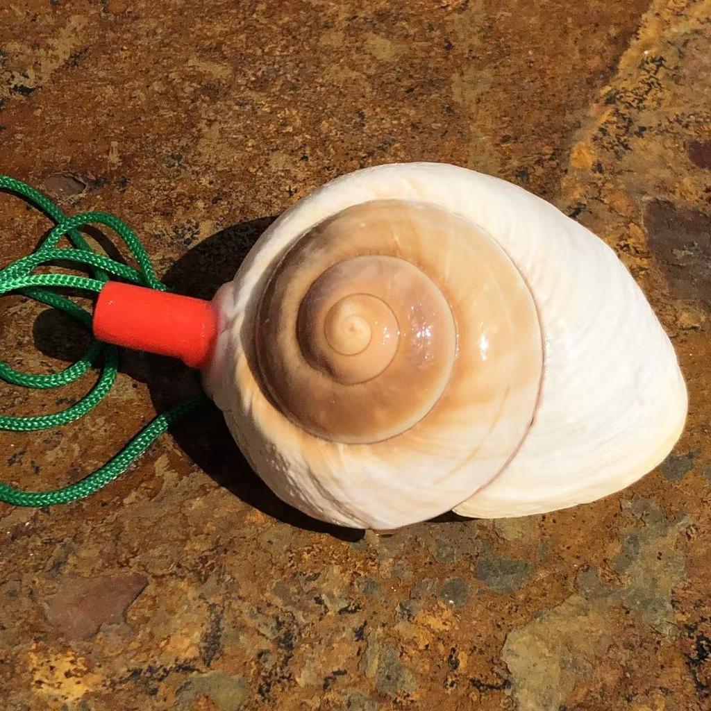 Street Stall Conch Shell Whistles & Toys: Creative Souvenirs