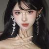 French Style Silver Needle Rhinestone Tassel Earrings - Light Luxury and Versatile