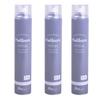 Diva Helium Gas Set of 3 for Aluminum Refill Heliborn Balloons Not 9.5L Balloons, Only, (Rubber Compatible)