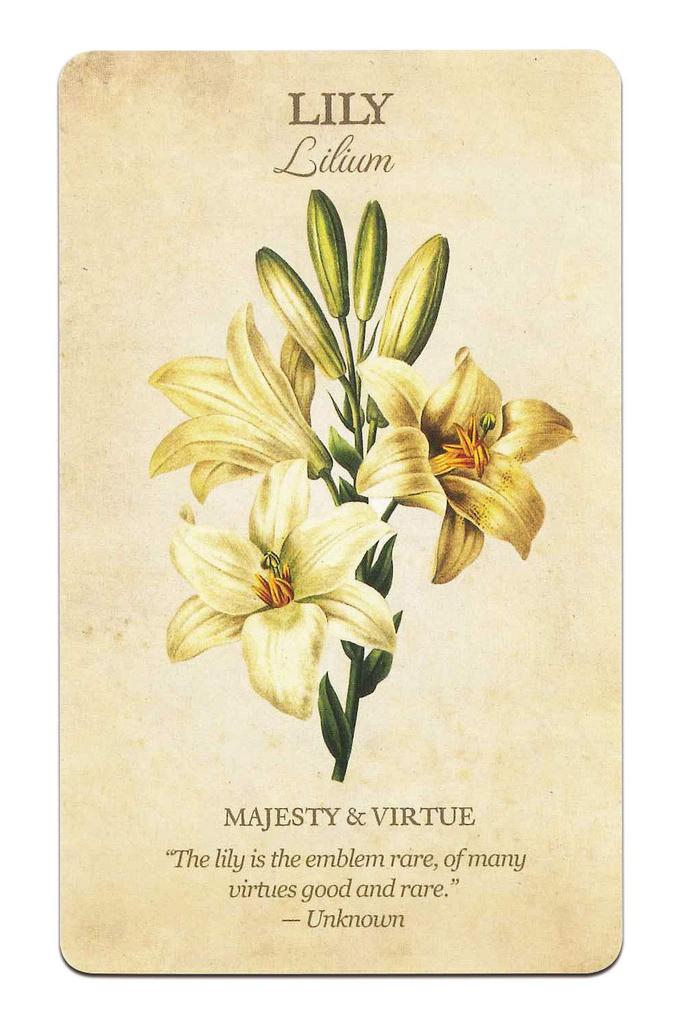 Nichiyu 44-Piece Oracle Card Set for Fortune Telling [Officially Imported] [Botanical Inspiration Set] Beautiful Floral Oracle Cards