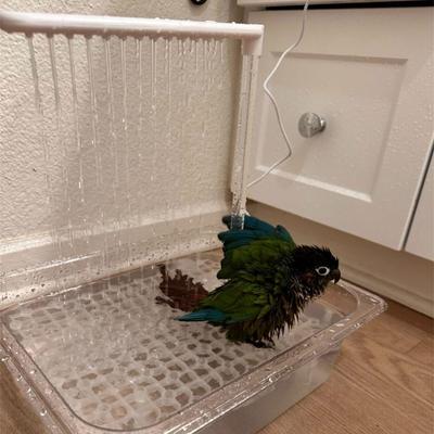 Automatic Bird Bathhouse Bathtub Parrots Shower Box with Multiple Tap Shower Multifunctional Bird Bathtub