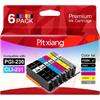 Compatible with Canon PGI-230 PGBK & CLI-231 Ink Cartridges, Replacement for Canon Pixma TS8820 Printer - Full Set