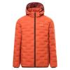 Regatta Mens Astrel Padded Jacket