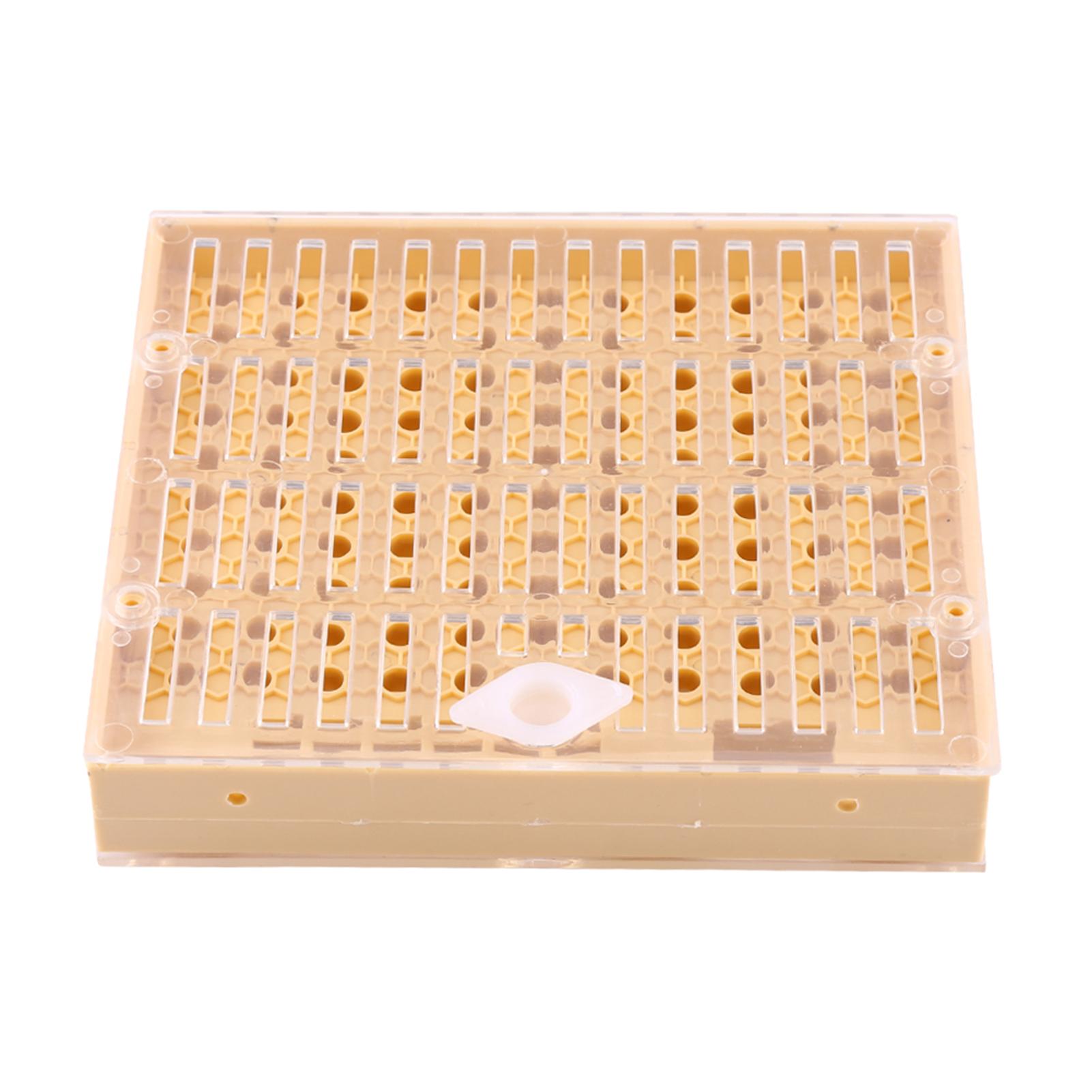 

Beekeeping Queen Rearing Cups Box Cell Bar Blocks Caps Hair Roller Cages Bee Keeper Equipment