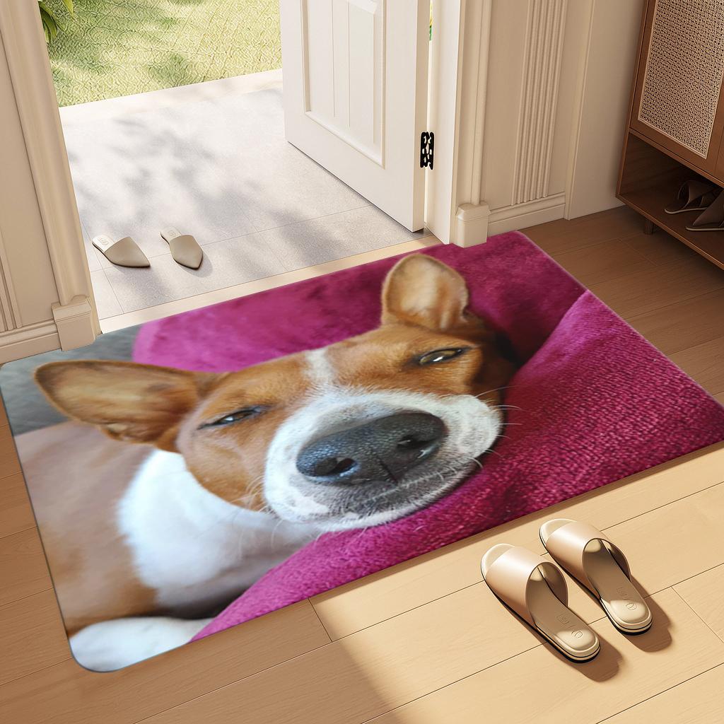 VIKAMA Pet Funny Dog Printed Carpets Bathroom Non-slip Floor Mats  Bedroom Bathroom Non-slip Floor Mat Home Decoration