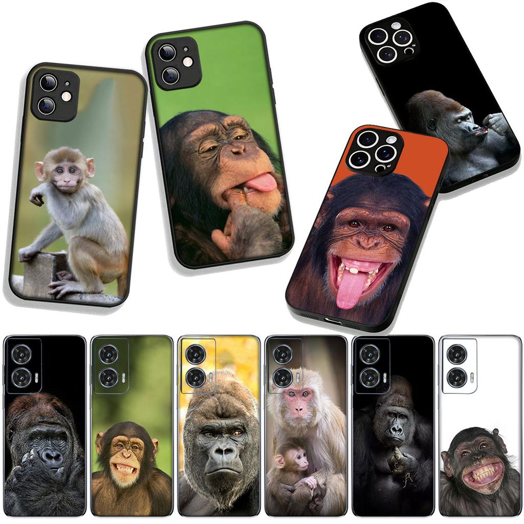Phone Cover Monkey Gorilla Ape Baby Casing for Samsung Galaxy S25 S24 S22 S23 FE Ultra Plus A56 A05 A06 A15 A16 A55 S7 Edge Case