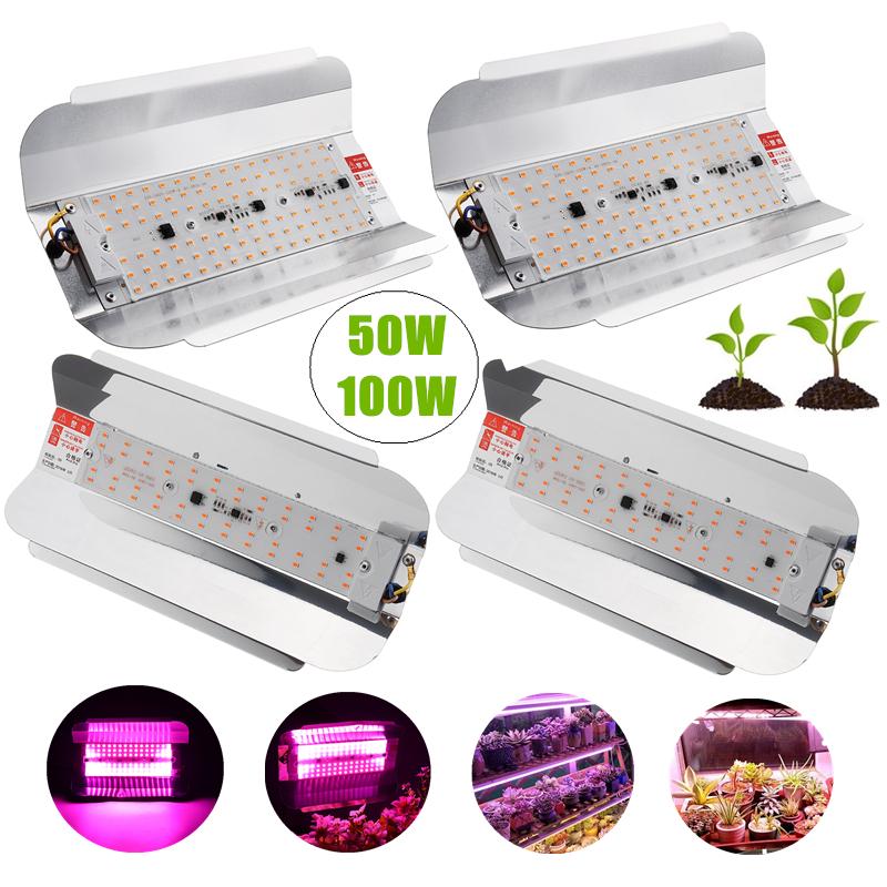 Buy AC 220V 50W 100W Full Spectrum LED Plant Flower Grow Flood Light ...