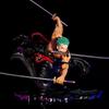 One Piece Anime Handmade: Rollonoa Solon Anime Statue Collection Model Toy Gift 22cm