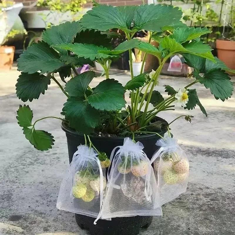 50pcs Fruit Protection Bags Anti-Bird Garden Netting Bags Strawberry Grapes Mesh Bag Plante Vegetable Netting Cover Garden Tool