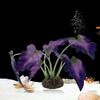 Lifelike Aquarium Water Plants Plastic Artificial Grass Ornament  Goldfish Tanks