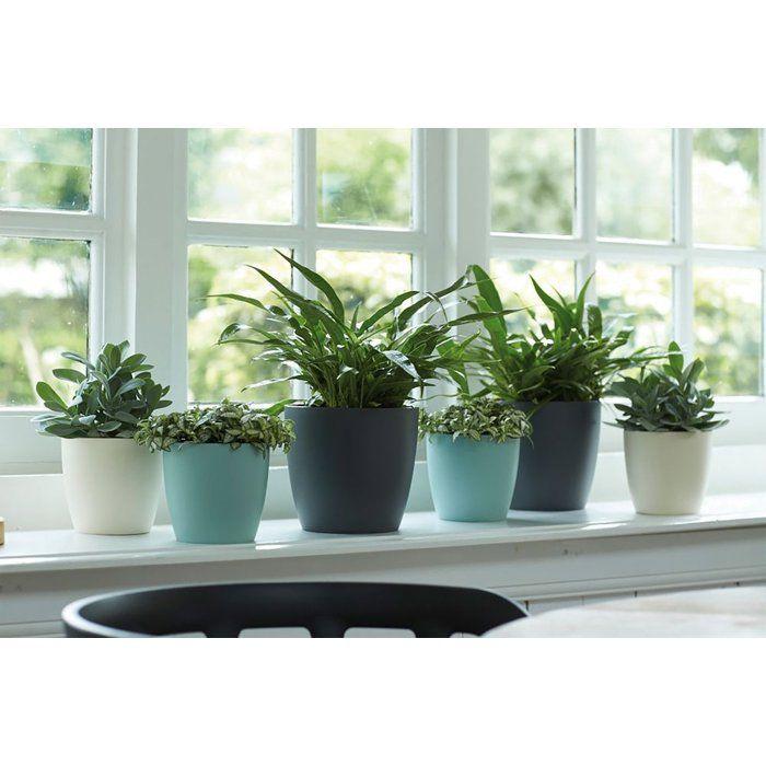 ELHO Lot de 2 pots de fleurs rond Brussels - 17 L - Ø 25,1 x H 23.2 cm - Noir