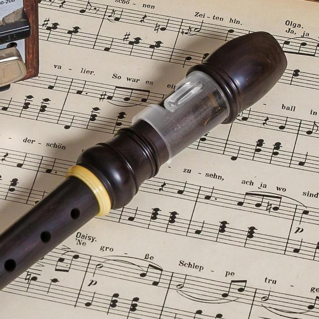 NOLITOY Flauta um Auxílio de Prática para Iniciantes e Feito de Bocal Transparente Leve e Fácil de Usar, Estudantes, Plástico,