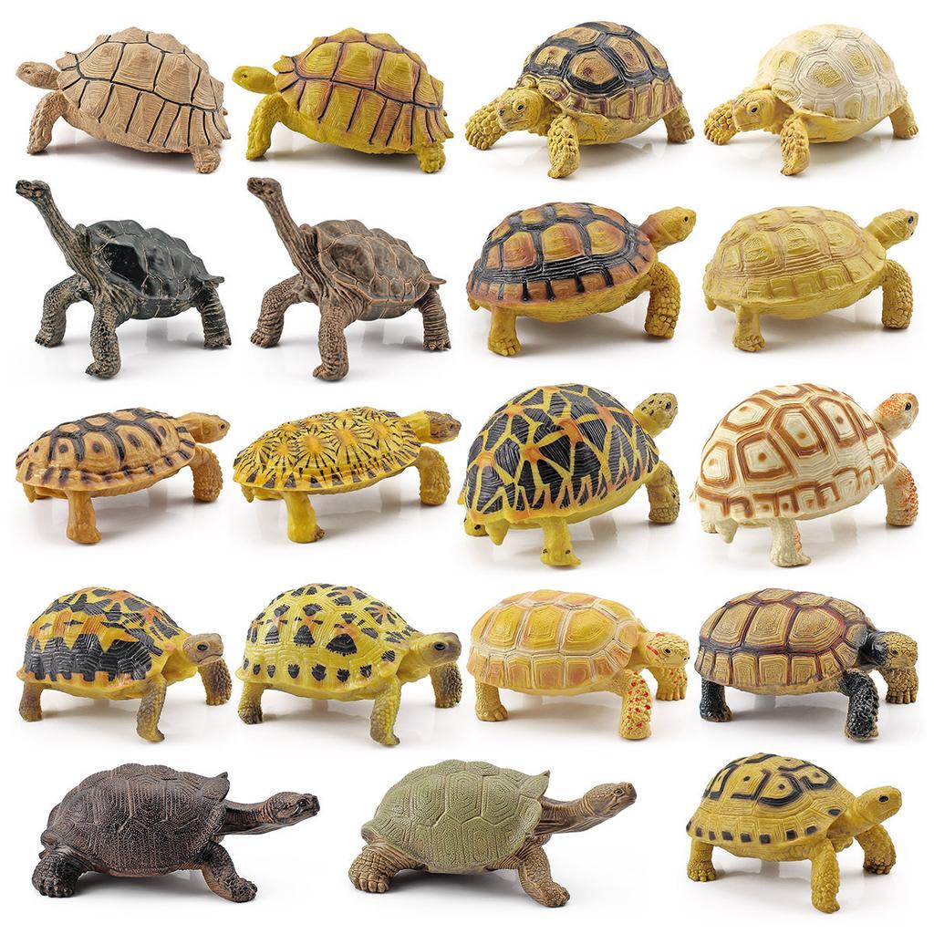 Simulation Amphibian Reptile Model Tortoise Tortoise Star Tortoise Static Decoration Cognitive Ornament Toy